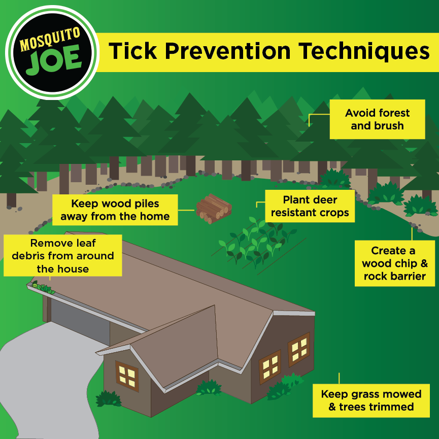 Prevent ticks from coming in to your yard by following these prevention techniques.